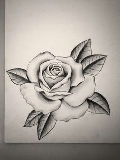 Drawing Of A Dozen Roses Die 595 Besten Bilder Von Roses Ink Rose Tattoos Und Draw