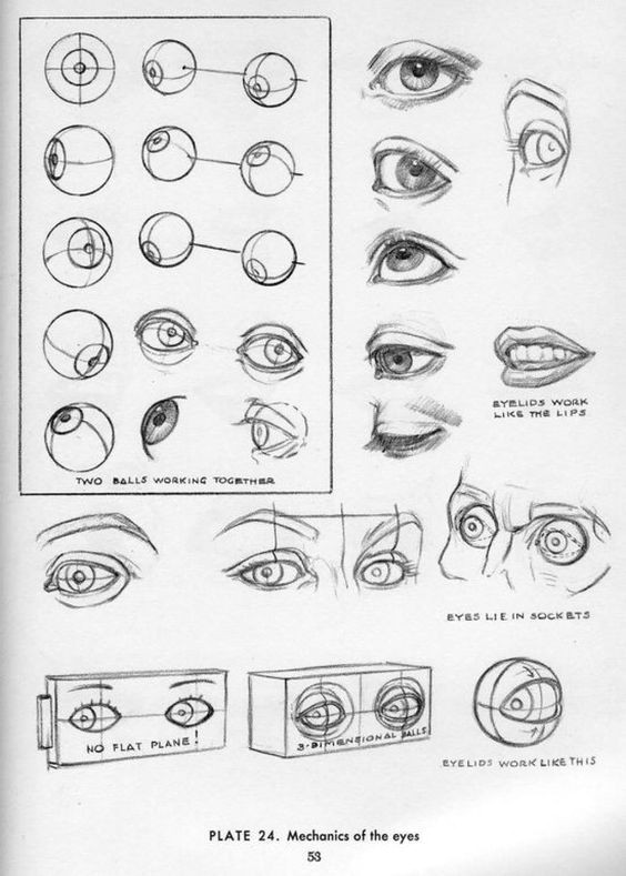Drawing Of A Eye socket Character Design Collection Eyes Anatomy How to Draw Pinterest