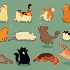 Drawing Of A Fat Cat 611 Best Fat Cat Images Fat Cats Animaux Cats