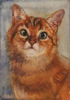 Drawing Of A Fluffy Cat 626 Best Artistic Ginger Cat Love Images Ginger Cats Cat Drawing