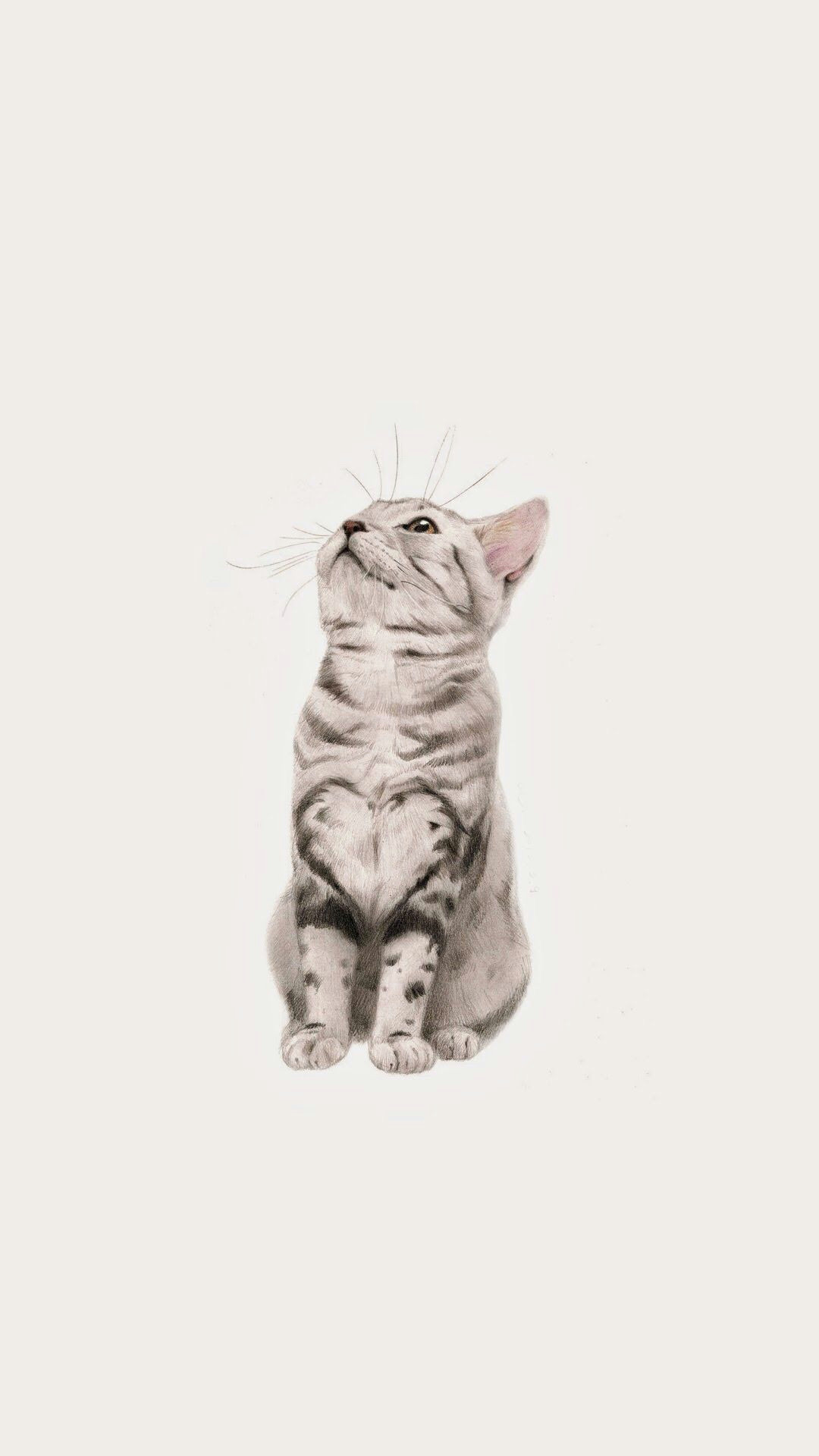 Drawing Of A Fluffy Cat iPhone Wallpaper Art Pantalla Gatos Fondos De Pantalla