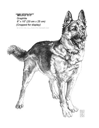 Drawing Of A German Shepherd Dog How to Draw A German Shepherd Dog Step by Step Www Drawplus Us