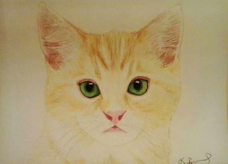 Drawing Of A Ginger Cat Ginger Cat with Green Eyes My Passion My Drawings Draw My