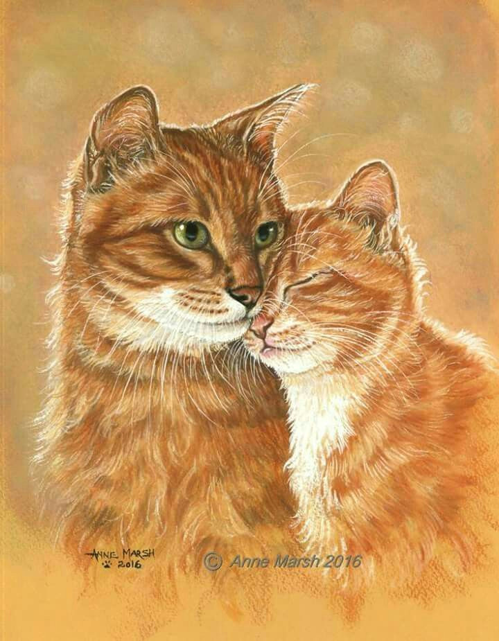 Drawing Of A Ginger Cat Pin by Tammy Parrott On Cat Art In 2019 Cat Art Cats Ginger Cats