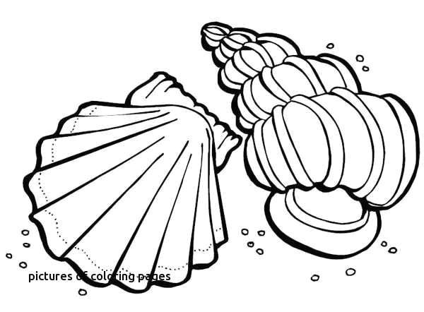 Drawing Of A Girl Clipart Clip Art Coloring Pages Unique Inspirational Kids Coloring Pages for