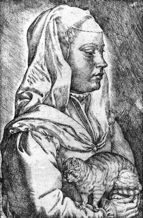Drawing Of A Girl Holding A Cat Drawing Of A Woman Wearing A Head Covering Holding A Kneeding Cat