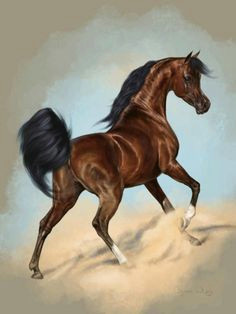 Drawing Of A Girl Horse 328 Best Horse Artwork Images Equine Photography Horses Drawings