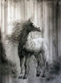 Drawing Of A Girl Horse 461 Best Horse Drawings Images Drawings Of Horses Horse Drawings