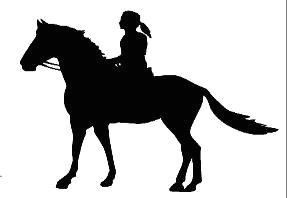 Drawing Of A Girl Horse Horse Decals Horse Stickers Graphics for Horse Trai Stuff to