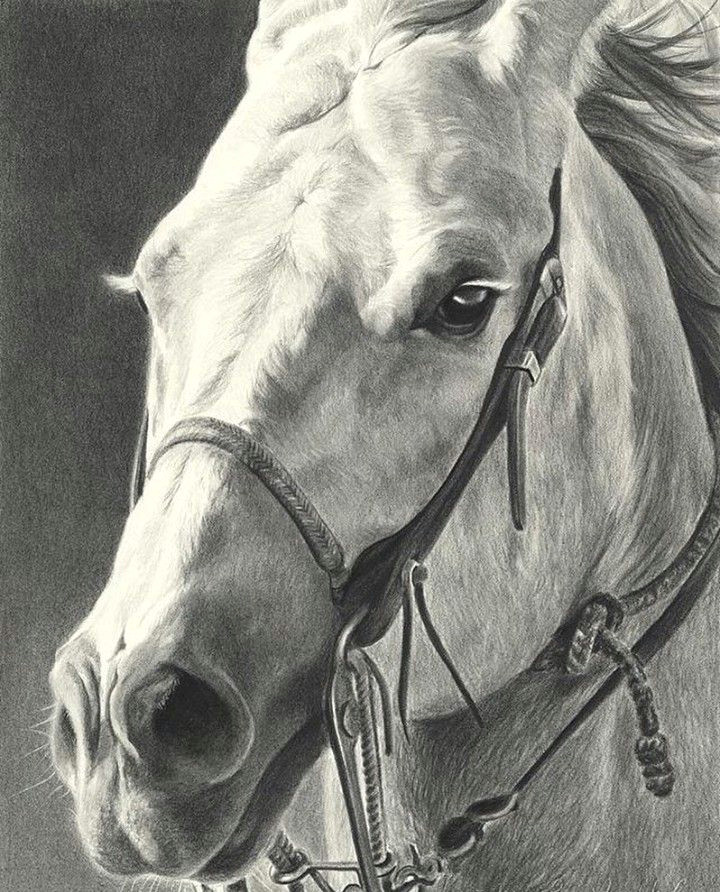 Drawing Of A Girl On A Horse Pin by Kylee On Horses In 2018 Pinterest Horse Art Equine Art