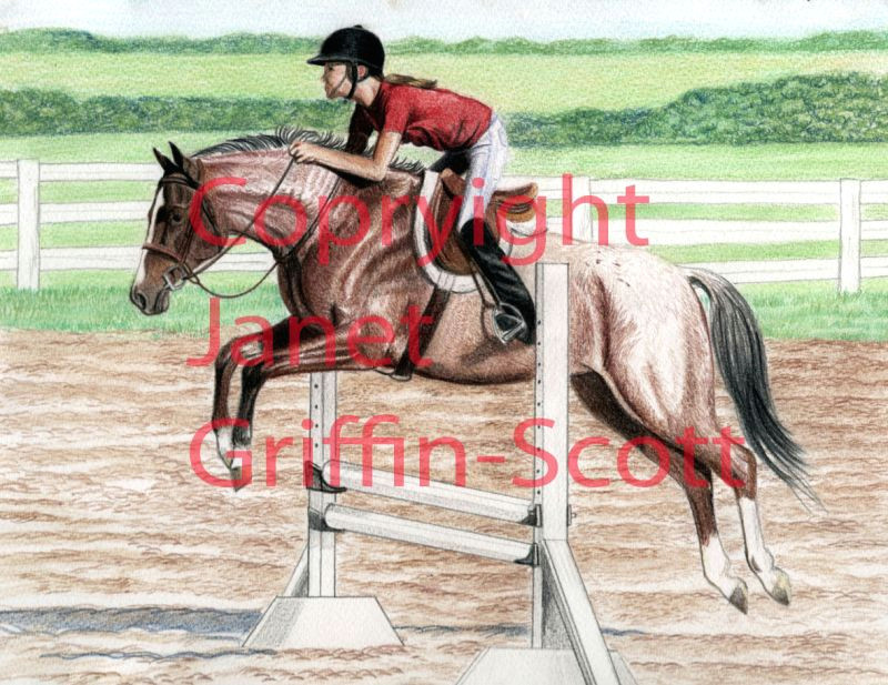 Drawing Of A Girl Riding A Horse Draw A Horse Show Jumper In Colored Pencil