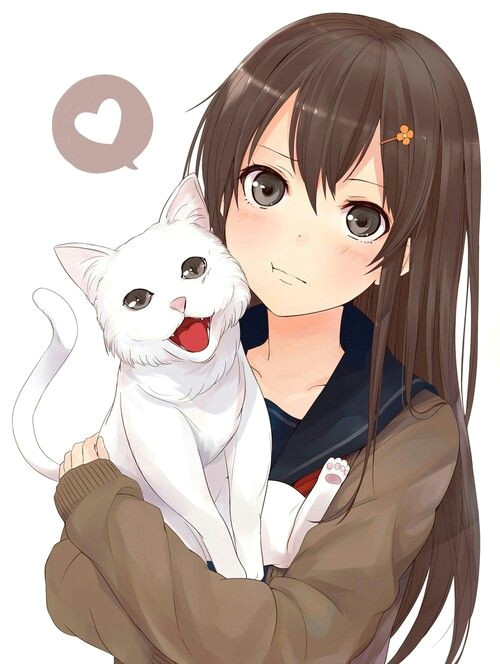 Drawing Of A Girl with Cat Ears Anime Girl Brown Hair Brown Eyes White Cat Blushing