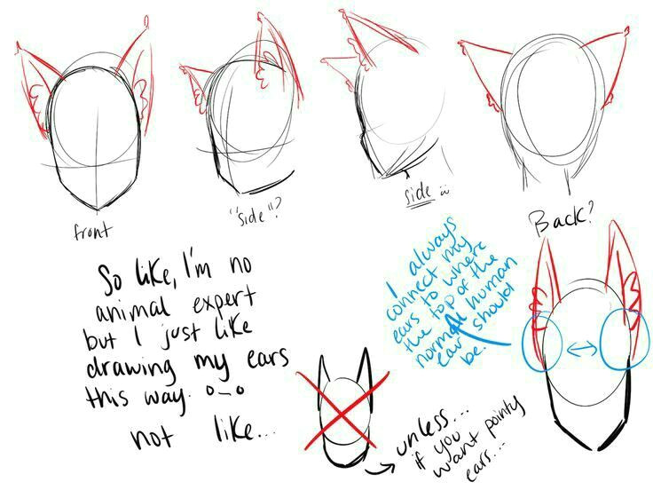 Drawing Of A Girl with Cat Ears Cat Ears Neko Text How to Draw Manga Anime How to Draw Manga