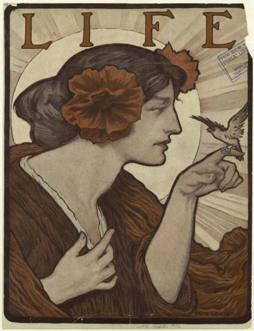 Drawing Of A Girl with Flowers In Her Hair Woman with Flowers In Her Hair Looking at A Bird Perched On Her