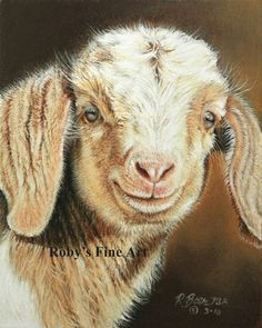Drawing Of A Goat S Eye 74 Best Goats Images Paintings Goat Art Sheep