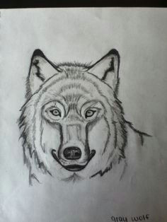 Drawing Of A Grey Wolf 109 Best Wolf Images Wolf Drawings Art Drawings Draw Animals