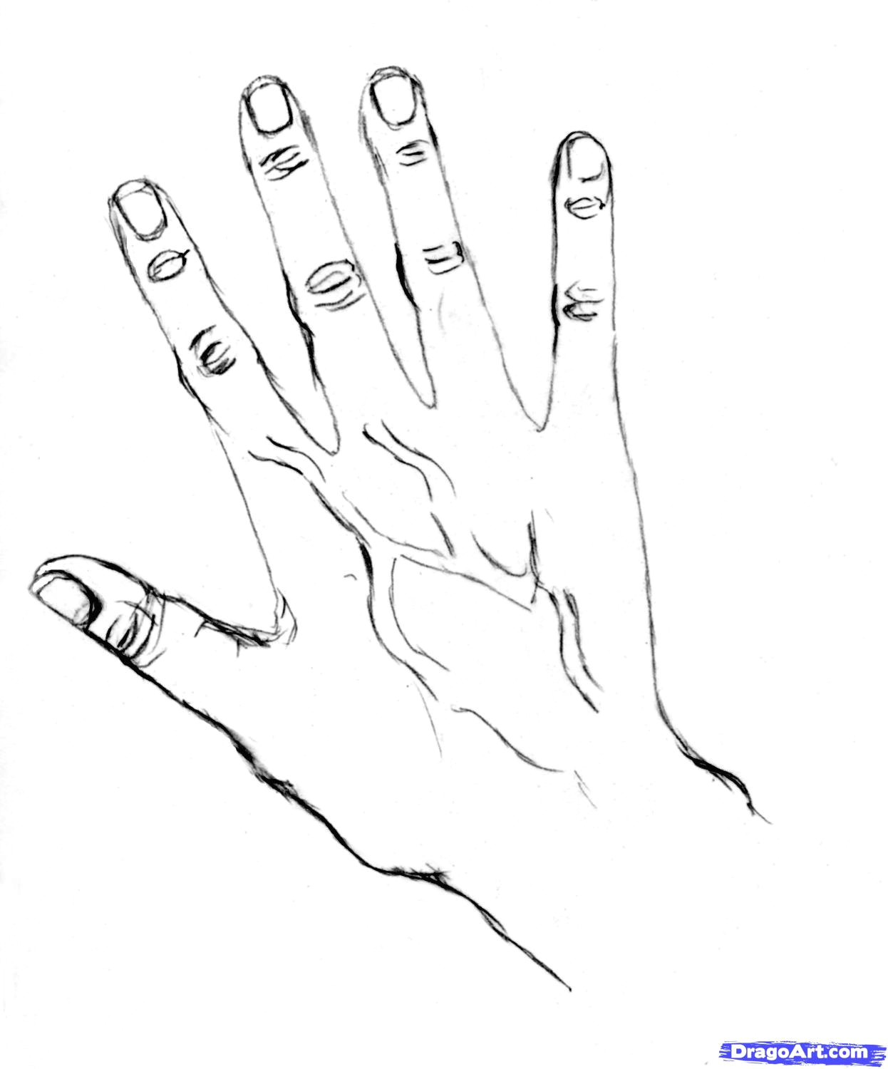 Drawing Of A Hands Step by Step How to Draw Hands