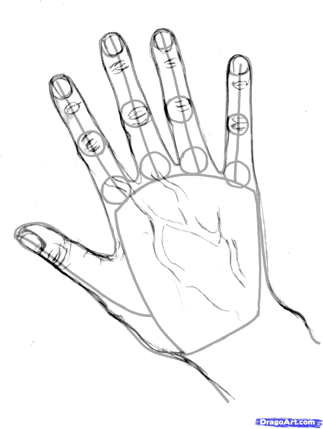 Drawing Of A Hands Step by Step How to Draw Hands