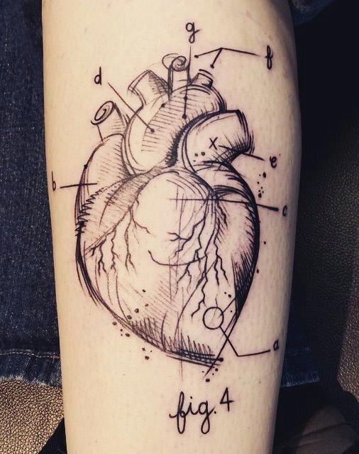 Drawing Of A Heart and Label Abstract Anatomical Heart Tattoo Label Sketch Potential Tattoos