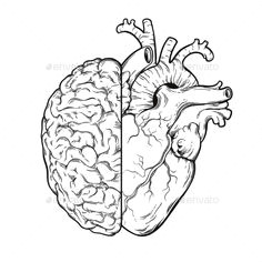 Drawing Of A Heart attack How to Draw A Heart Science Drawing Lesson Drawing Ideas 3 In