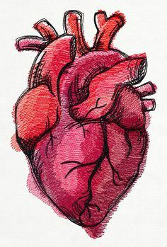 Drawing Of A Heart Realistic 1875 Best Human Heart Images In 2019 Feminist Art Embroidery