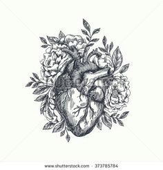 Drawing Of A Heart Tattoo 1596 Best Anatomical Heart Images Anatomical Heart Human Heart