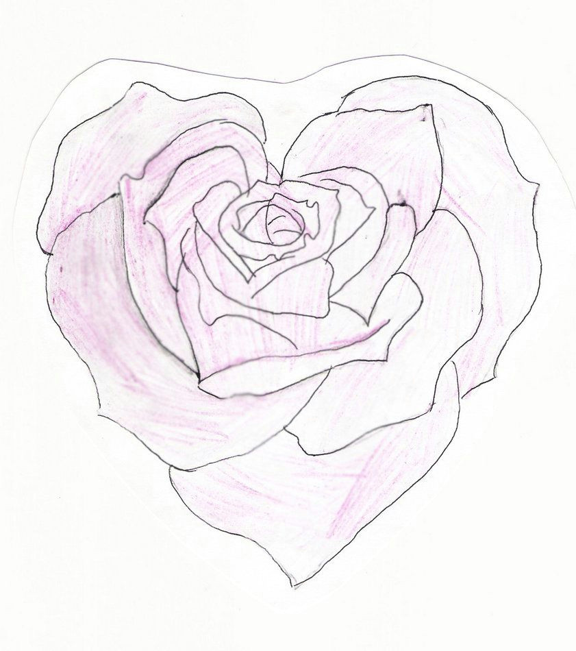 Drawing Of A Heart with A Rose Heart Shaped Rose Drawing Heart Shaped Rose by Feeohnah Art