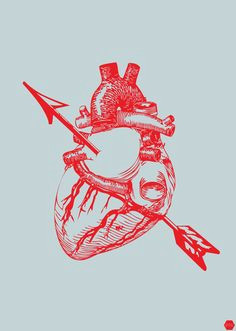 Drawing Of A Heart with An Arrow 195 Best Heart Images Anatomy Art Anatomical Heart Health