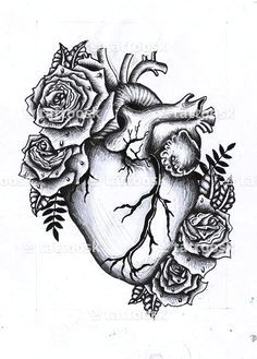 Drawing Of A Heart with Flowers 34 Best Anatomical Heart Tattoos Images Amazing Tattoos