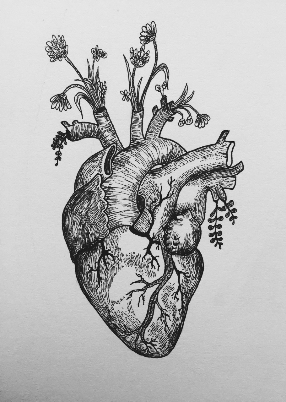 Drawing Of A Heart with Flowers Anatomically Correct Heart Flash Design E Mail Message Me for