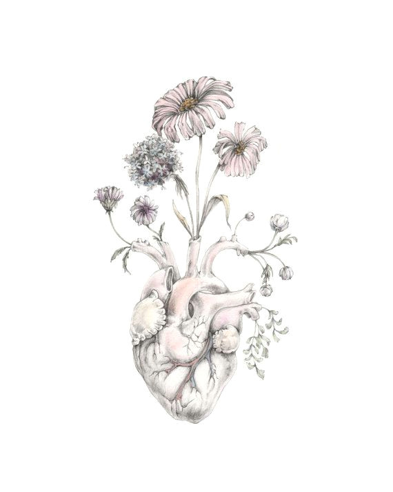 Drawing Of A Heart with Flowers Blooming Heart Painting Art Anatomy Valentine Floral Space