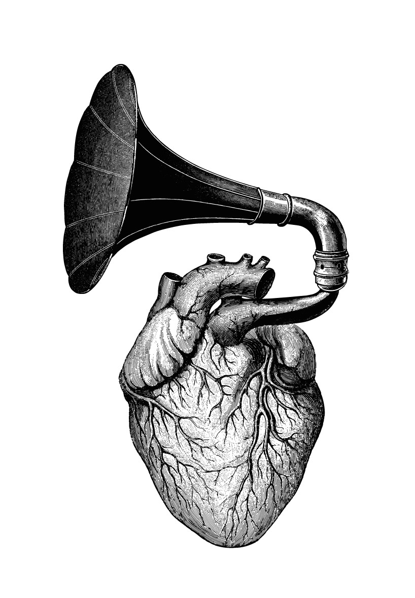 Drawing Of A Heart with Parts Music Comes From the Heart the Words that Come From Your Heart Can