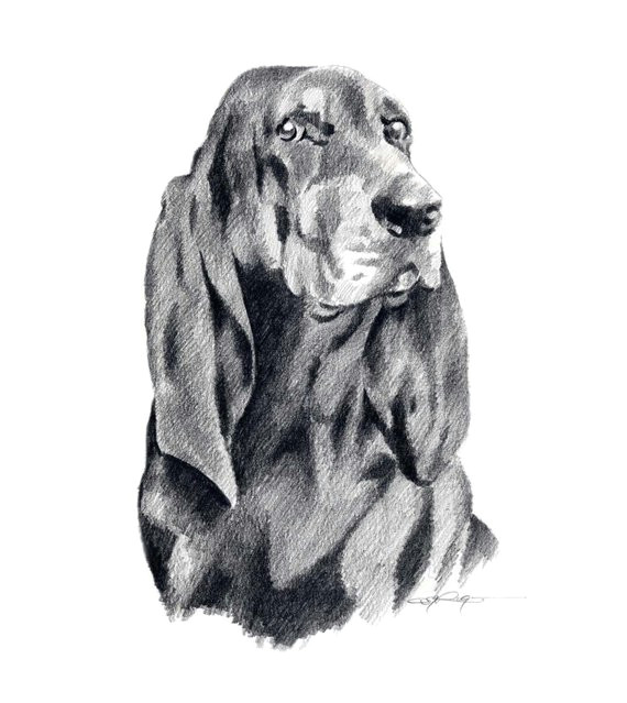 Drawing Of A Hound Dog Black and Tan Coonhound Art Print by Artist Dj Rogers In 2018