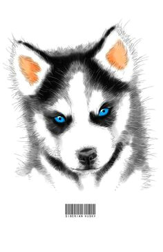 Drawing Of A Husky Dog 338 Best Huskies Reign Images Husky Drawing Husky Dog Animal