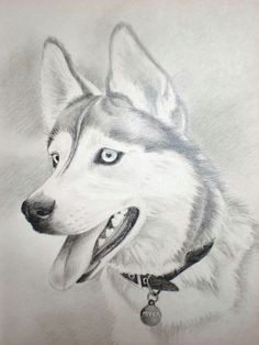 Drawing Of A Husky Dog Husky Face Drawing Finding Dory Husky Drawing Drawings Husky