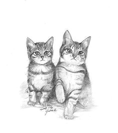 Drawing Of A Kitty Cat 112 Best Kitten Drawings Images In 2019 Cats Dog Cat Watercolor Cat