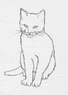 Drawing Of A Kitty Cat 300 Best Drawing Cats Images In 2019 Draw Animals Cat