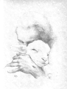 Drawing Of A Lamb S Heart 82 Best Lambs Sheep Images Sheep Drawing S Drawings