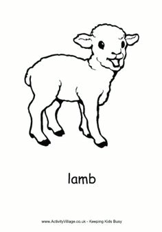 Drawing Of A Lamb S Heart 82 Best Lambs Sheep Images Sheep Drawing S Drawings