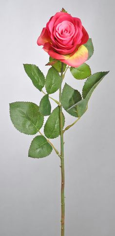 Drawing Of A Long Stem Rose 34 Best Rose Stems Images Drift Wood Rose Stem Stems