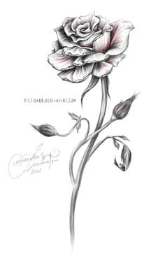 Drawing Of A Long Stem Rose 96 Best Rose Drawing Tattoo Images Rose Drawing Tattoo Tattoo