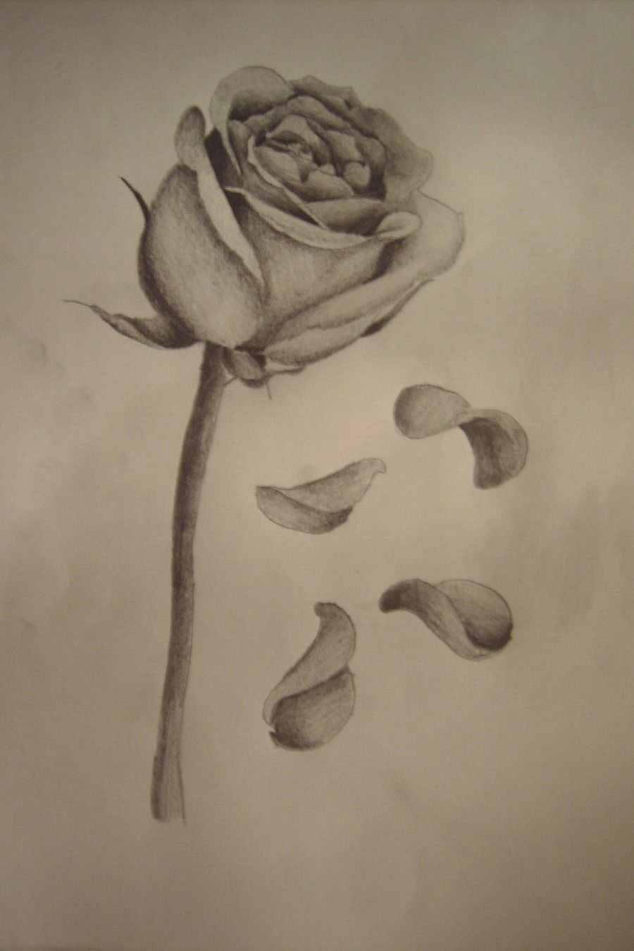 Drawing Of A Long Stem Rose Rose with Falling Petals Tattoos Tattoos Rose Tattoos Tattoo
