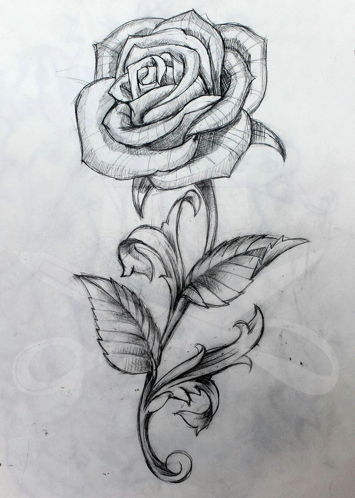 Drawing Of A Long Stem Rose Stemmed Rose Drawing Google Search Roland Tattoos Tattoo