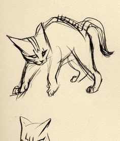 Drawing Of A Mammalian Heart 8603 Best Art Kool Cats Images In 2019 Cat Illustrations Cat