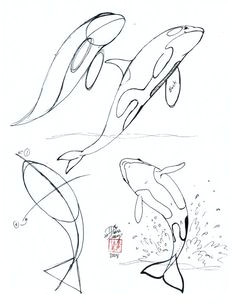 Drawing Of A Mammalian Heart Die 802 Besten Bilder Von Zeichnen In 2019 Drawing Techniques