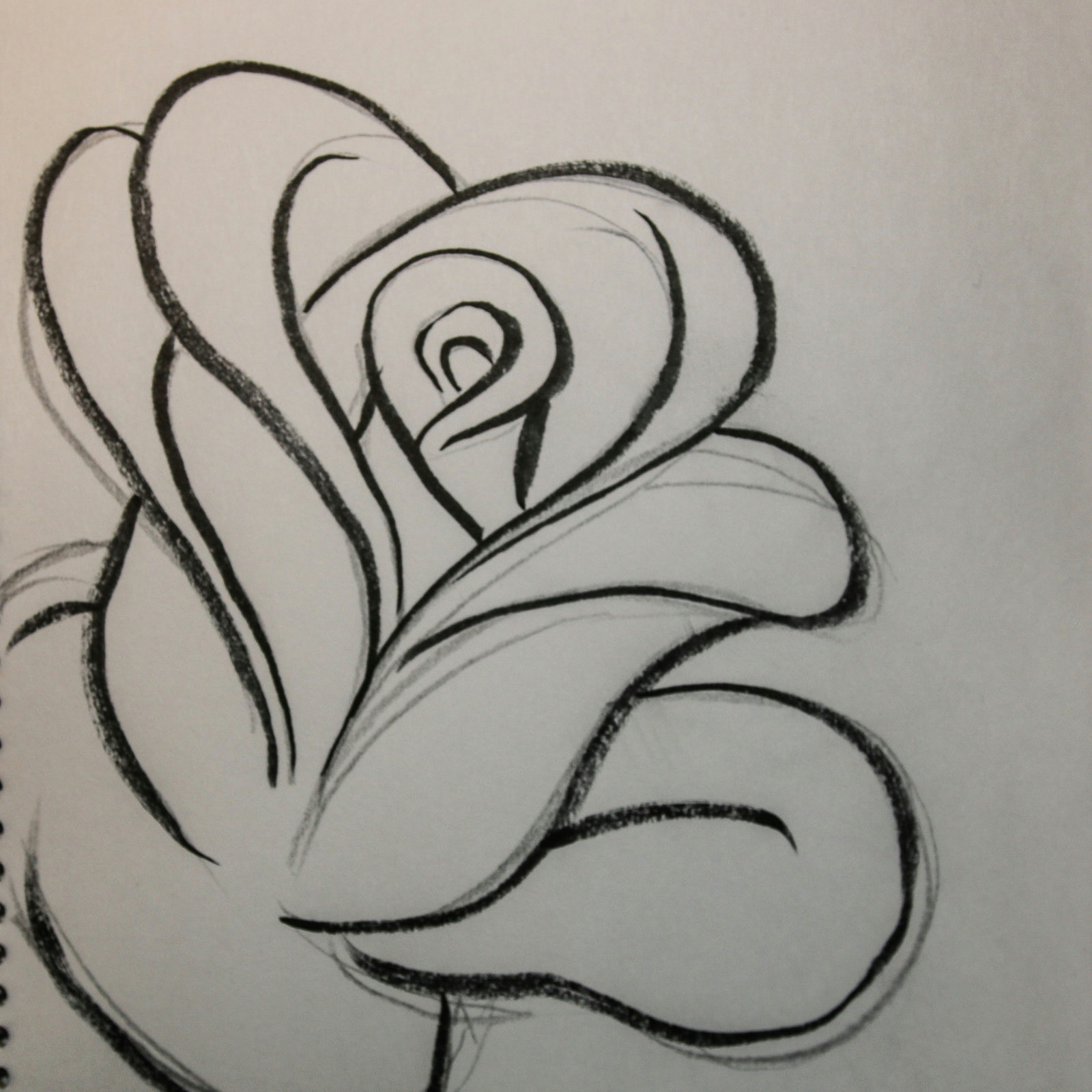 Drawing Of A Open Rose Drawing Rose Elita Mydearest Co