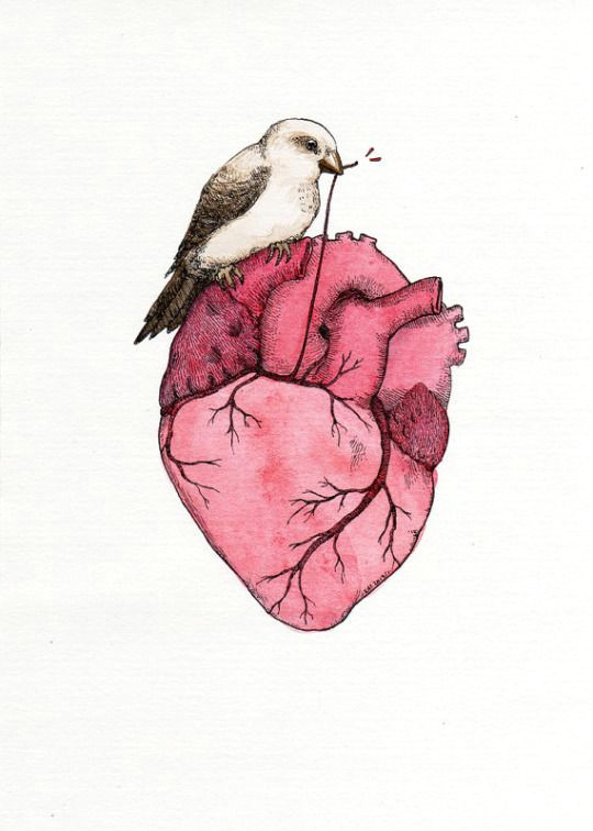 Drawing Of A Pink Heart by Kat Philbin A Heart to Fix You Pinterest