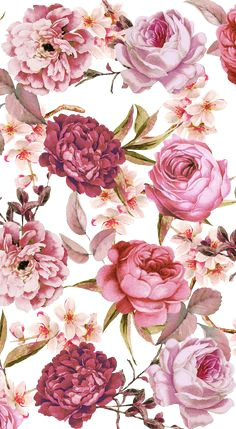 Drawing Of A Pink Rose 63 Best Flower Drawings Images In 2019
