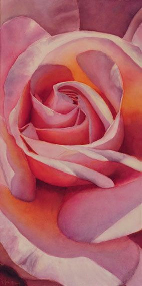 Drawing Of A Pink Rose Pink Rose Watercolor Painting In 2019 Art Watercolor Flowers 6