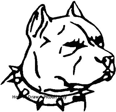Drawing Of A Pitbull Dog How to Draw A Pitbull Easy 28 Collection Of Pitbull Dog Face Drawing